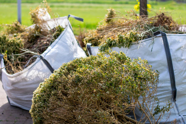 Trusted Kannapolis, NC Junk Removal Experts