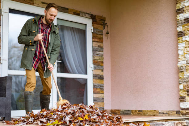 Yard Cleanup Services in Kannapolis, NC